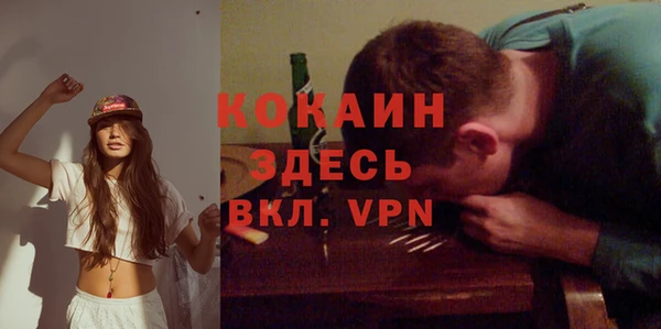 твердый Абаза
