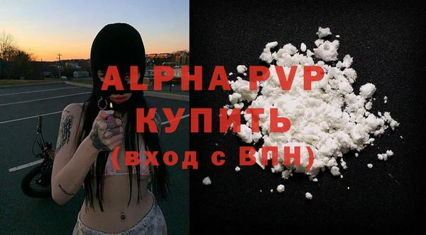 твердый Абаза