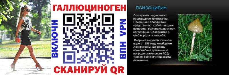Псилоцибиновые грибы GOLDEN TEACHER где купить МЕГА ONION Дивногорск