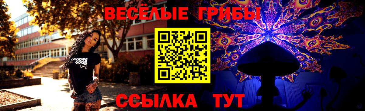 Псилоцибиновые грибы Psilocybe  Вход с VPN  Дивногорск  Псилоцибиновые грибы GOLDEN TEACHER 